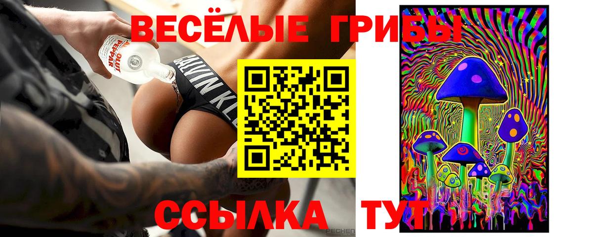 Псилоцибиновые грибы GOLDEN TEACHER  Вход с VPN  Кимры 